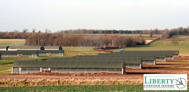 Large Free Range Operation